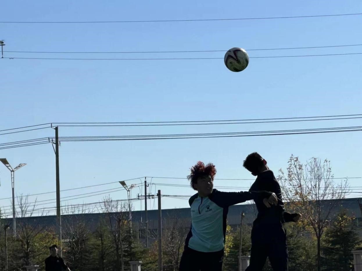 1700114030177979.jpg 2.jpg